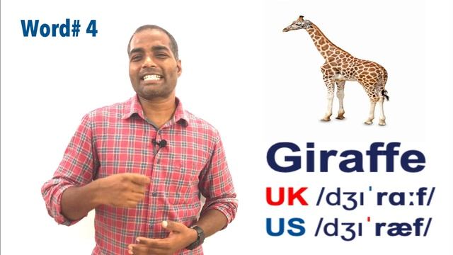 ENGLISH PRONUNCIATION I 10 MAMMAL NAMES YOU MAY MISPRONOUNCE