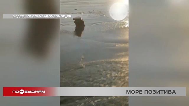 «По весточке»: море позитива