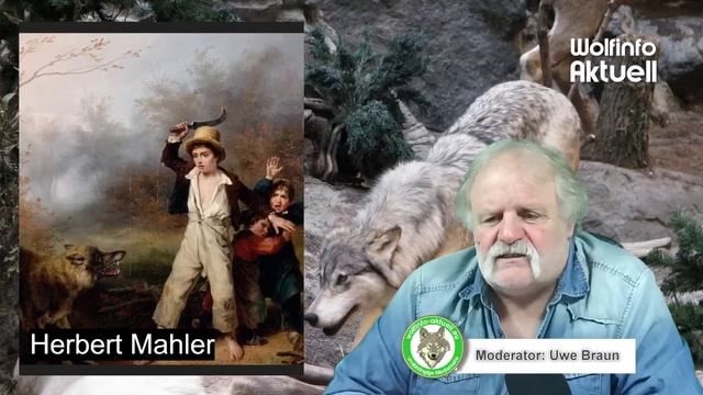 Wolfinfo Aktuell LIVE Talk - Nachweislich: Wölfe töten Menschen