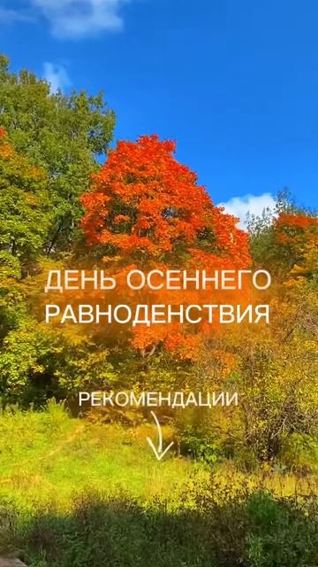 День Осеннего Равноденствия - что рисовать  Нейрографика с Оксаной Авдеевой