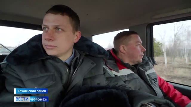Как следят за численностью кабанов в Воронежской области