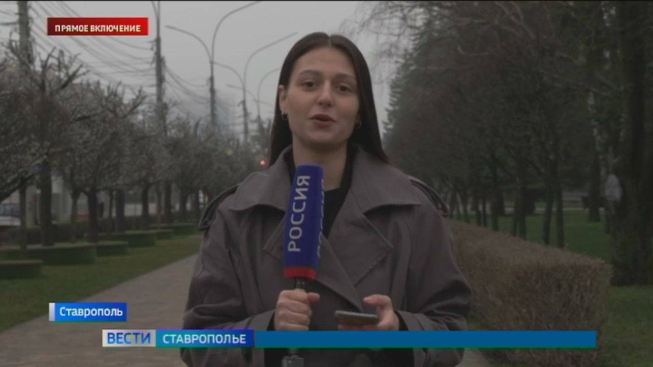 Пасмурная и дождливая погода установилась на Ставрополье, надолго ли?
