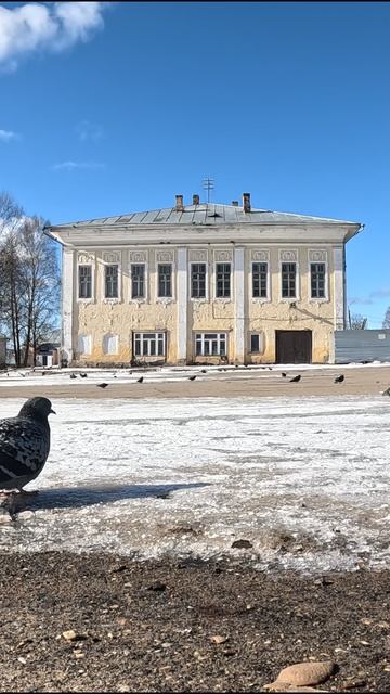 г. Тотьма всем хорошего дня