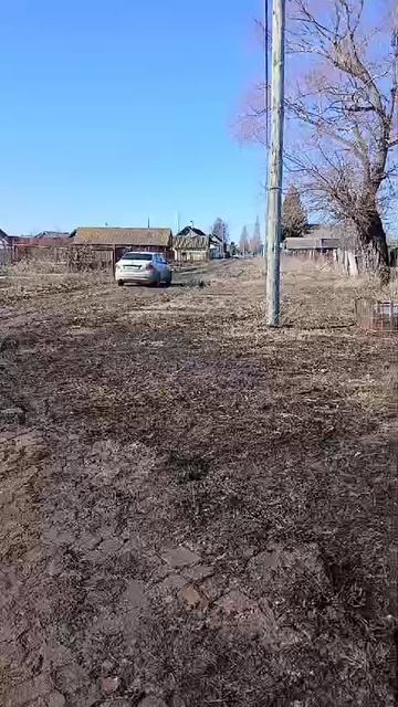 19-03-2025