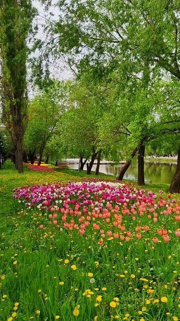 У реки Везёлка, Белгород