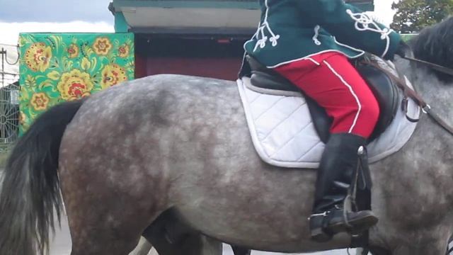 ЕЛЕЦ ГУСАРЫ