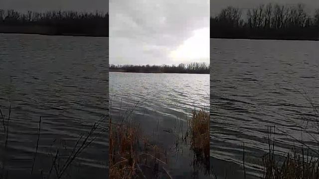 Рыбалка на озере