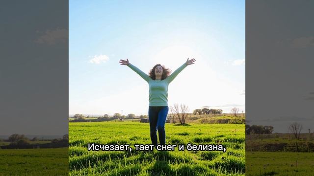 Волонтёры