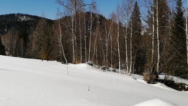 Отдыхаем на снегоступах на Караколах, Алтай
