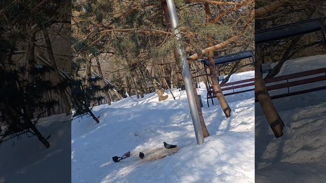 Советский суп 🍜