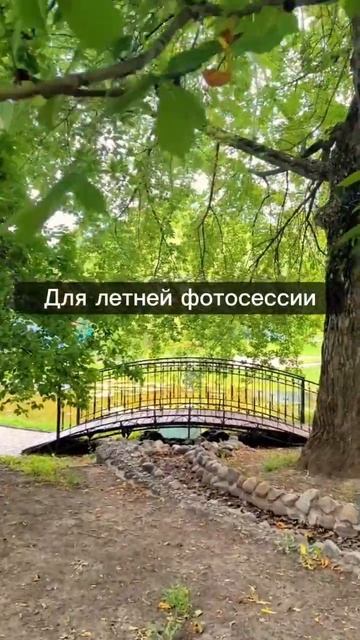 Красивое место для свадебной фотосессии #свадебныйфотограф