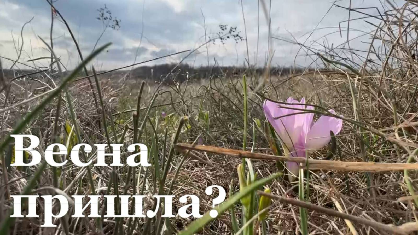 Смена погоды в Республике