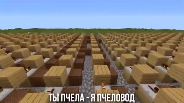 Мы просто пчёлы