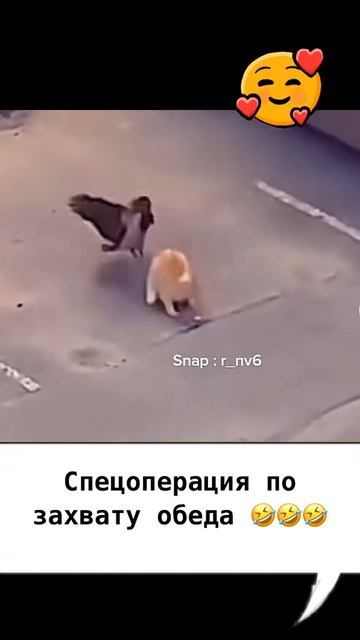 ХихиЧпок Юмор