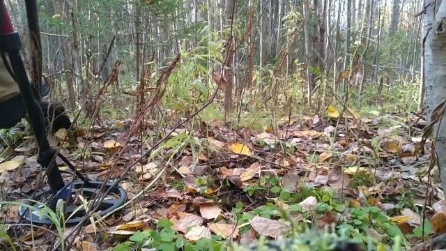 Металлокоп. Забрали найденный металл, коп на старых делянках, застрял УАЗ.