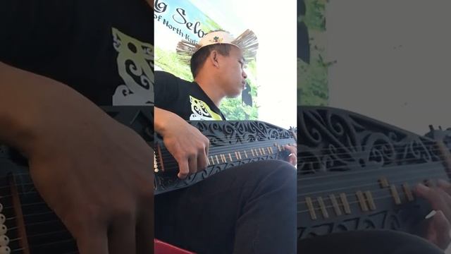 Live Cover || Sape Dayak || tebak judul kali ini