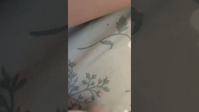 1000046801.mp4