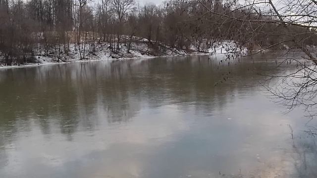 Прогулка вдоль речки в Сестрорецком парке. Я увидел рыбу на плотине!!!