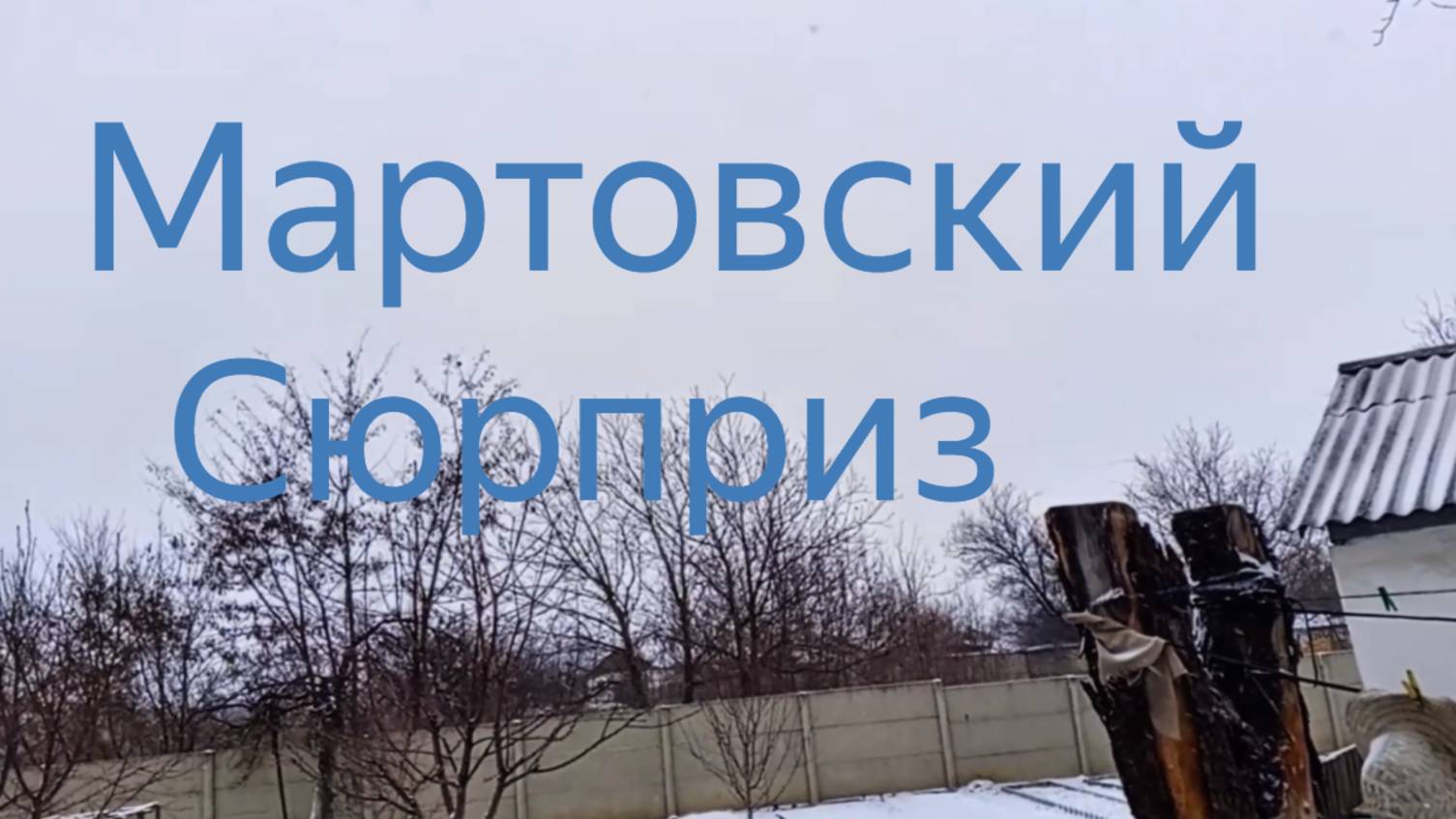 Уже и не ждали...Макеевка ДНР Россия .