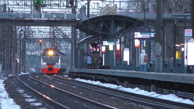 Рязанские фирмаки на рейсе Спутник до Раменского Электропоезда ЭД4М-0444 и ЭД4М-0445