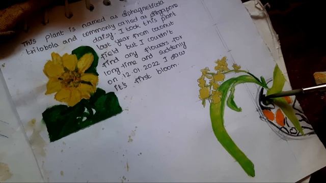 Flower journal | Painting flowers from our garden| Story of trees-Bible | Life Verses