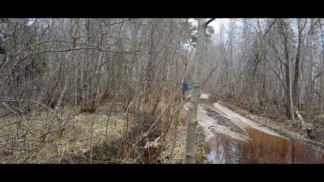Тайгуше посвящается. Майские поход в заказник Исо-Ийярви.