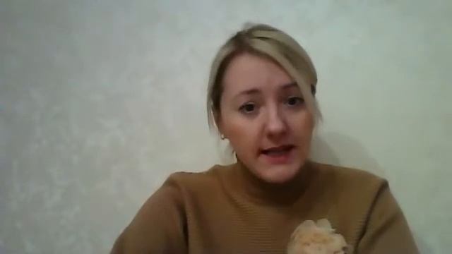 Программы CATS COLLEGE в Англии