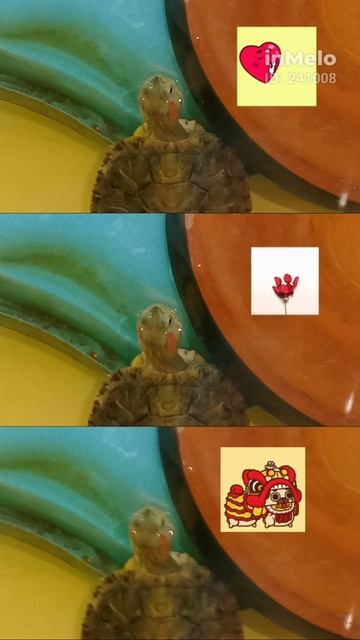 1000005163.mp4