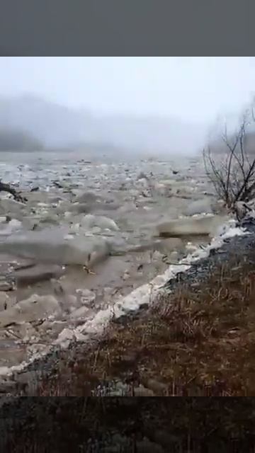 Ледоход,Чарыш, 26 марта 2018 год