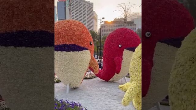 Hong Kong Flower Show 2023 made with real flowers|#yvettevlogs  #hk  #flowershow2023  #flowershow