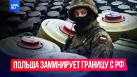 Польша планирует разместить миллион противопехотных мин на границе с Россией и Белоруссией