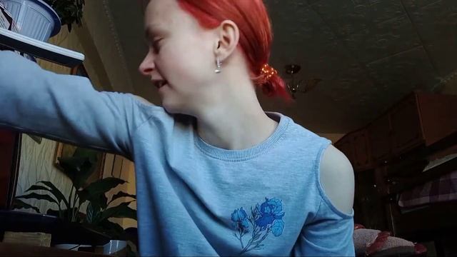 видео-дневник 2: неделя до пересдачи егэ