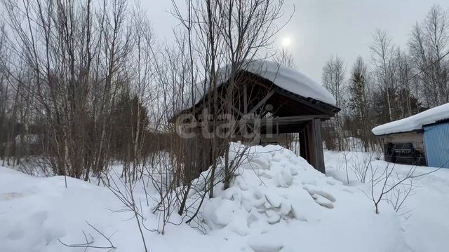№5719437 Газовик, Берёзовая улица