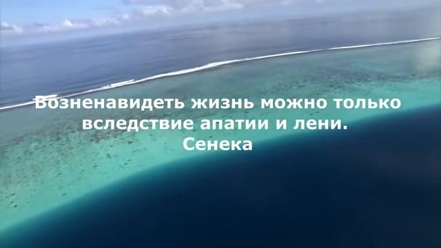 Живите с пользой