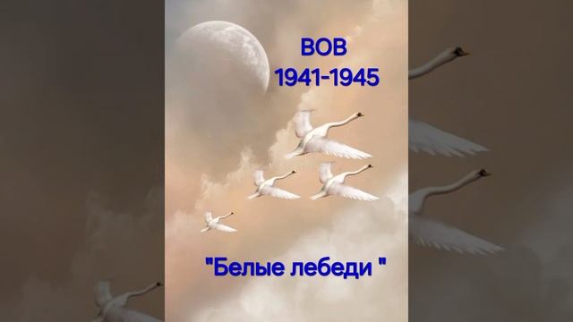 песни о ВОВ "Белые лебеди "