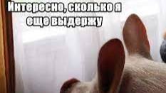 Тест