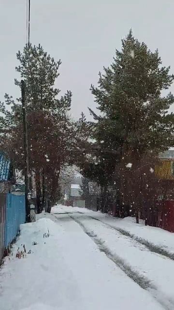 И снова зима!