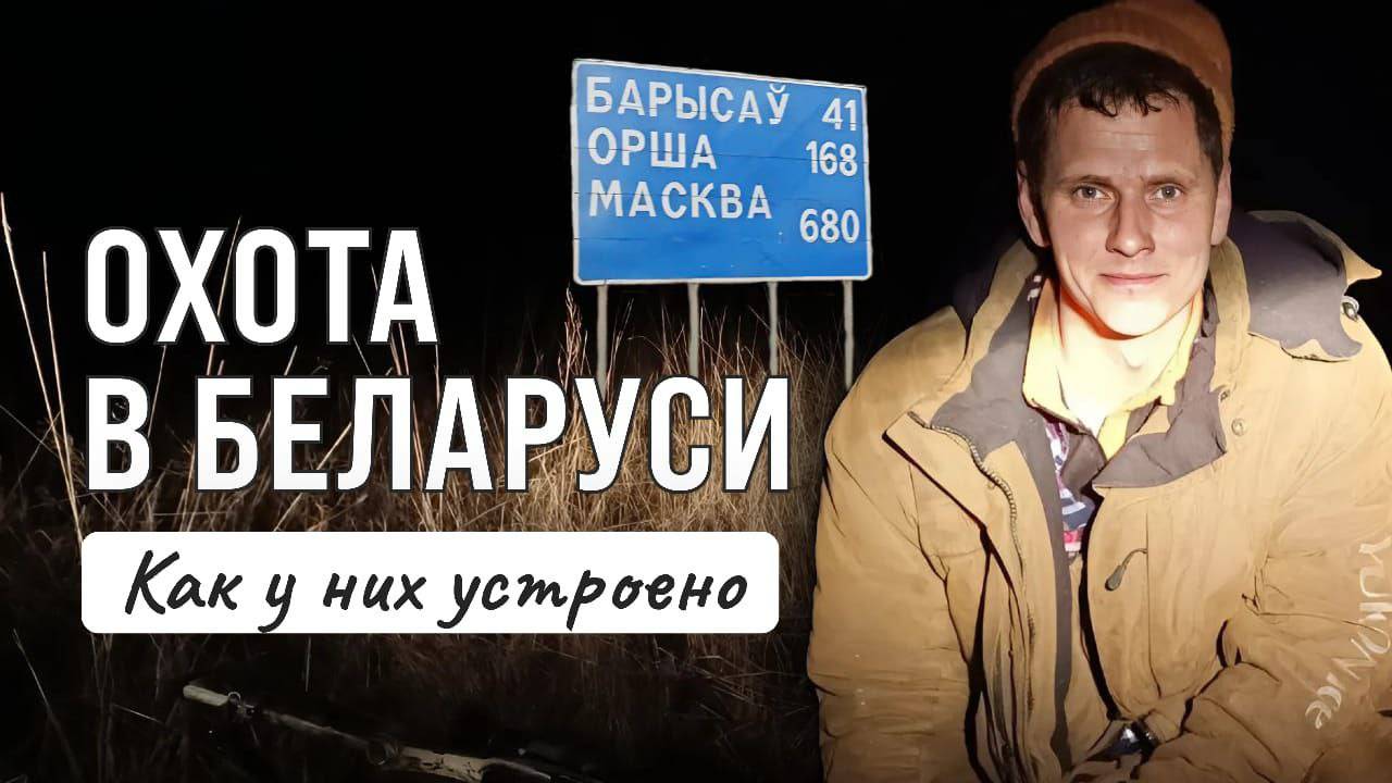 ОХОТА в Республике Беларусь. А как у них все устроено!?