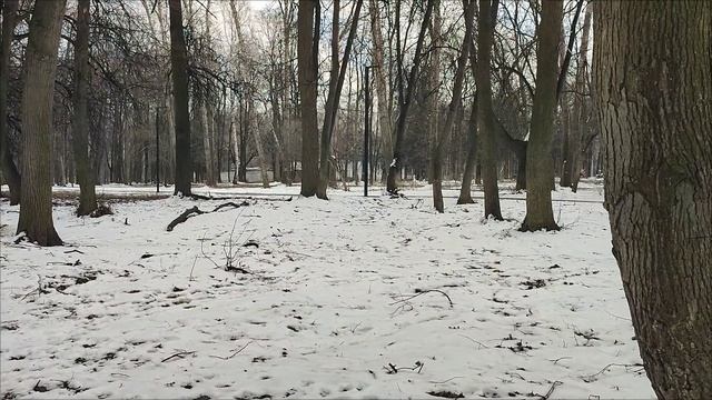 Прогулка по весеннему парку