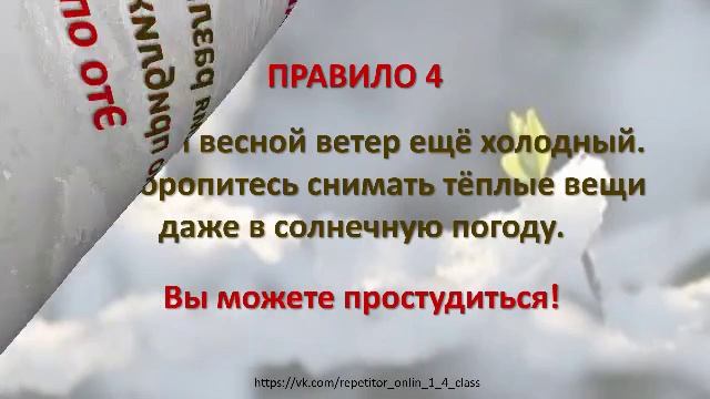 Весенние каникулы