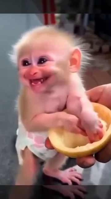 обезьянка