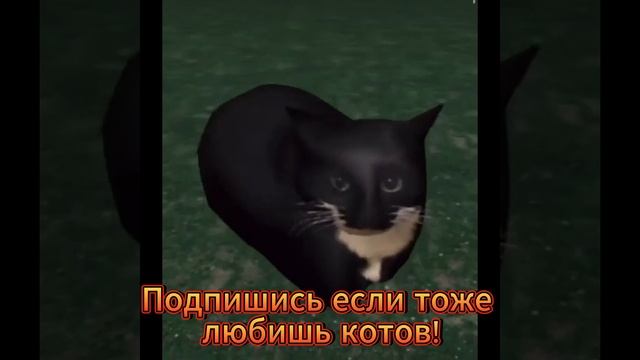 Просто домашние любимцы!