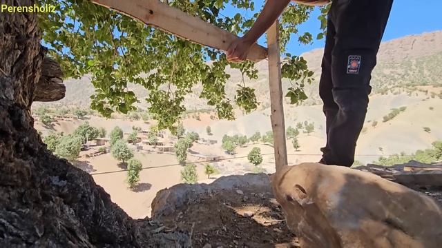 "Saleh's love for his children, a new start in building a house to protect children"