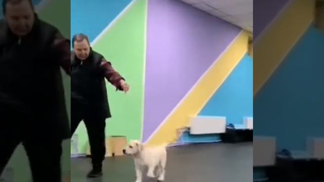 Маша 3 месяца