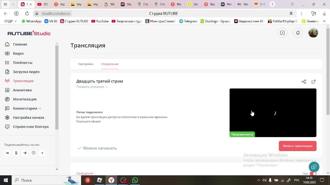 Двадцать третий стрим