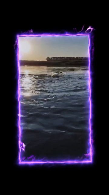 lv_0_20241117155848.mp4