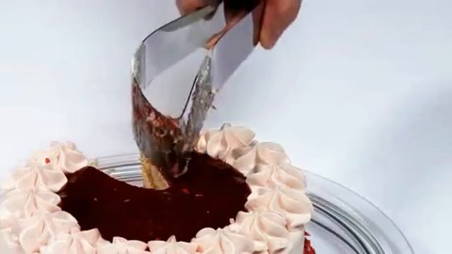 tort