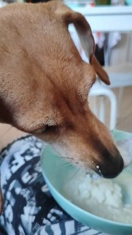 Зверьё моё .mp4