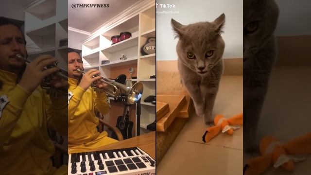 The Kiffness X Alugalug Cat 2.0 (Please Go Away)