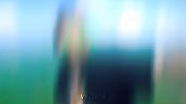 КОБЯКОВ ВЕРНИСЬ